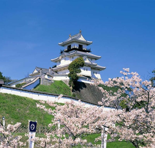 【奈良県内発】 花薫る富嶽の感動!富士山眺望春めぐり2日間2